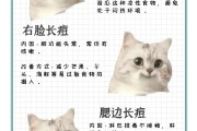 附体如何去除(去除附体最狠的办法)