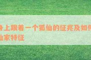 仙家附体感觉特征(仙家附体是怎么回事)
