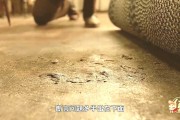 附体真实事件(附体是真实的吗)