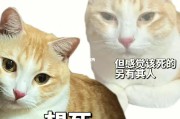 附体都有哪些症状(附体都有哪些症状表现)