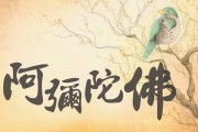 附体念什么佛号好(附体念什么佛号好一点)