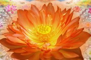 梦见仙家附体怎么回事(梦见仙家真身是什么意思)