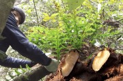 附体治疗方法有几种(附体治疗方法有几种类型)