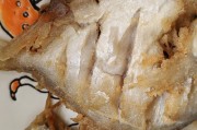 锦鲤附体是什么(锦鲤附体是什么生肖)