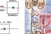 附体体验属于感觉障碍(附体感属于感知障碍还是思维内容)