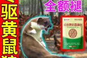 怎么赶走黄鼠狼不再来(怎么赶走黄鼠狼不再来家里)