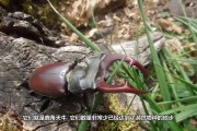 附体能看好吗(附体是好事还是坏事)