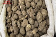 附体怕什么中药(去除附体最狠的办法)