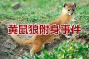 真实的附体事件有哪些(真实的附体事件有哪些类型)